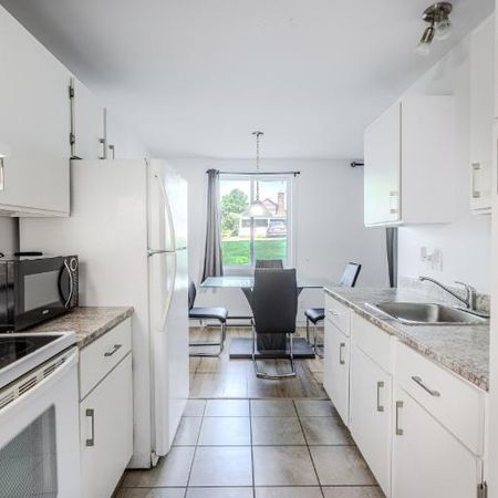 Appartement 4 ½ à louer Lévis décembre 2025 - Photo 4