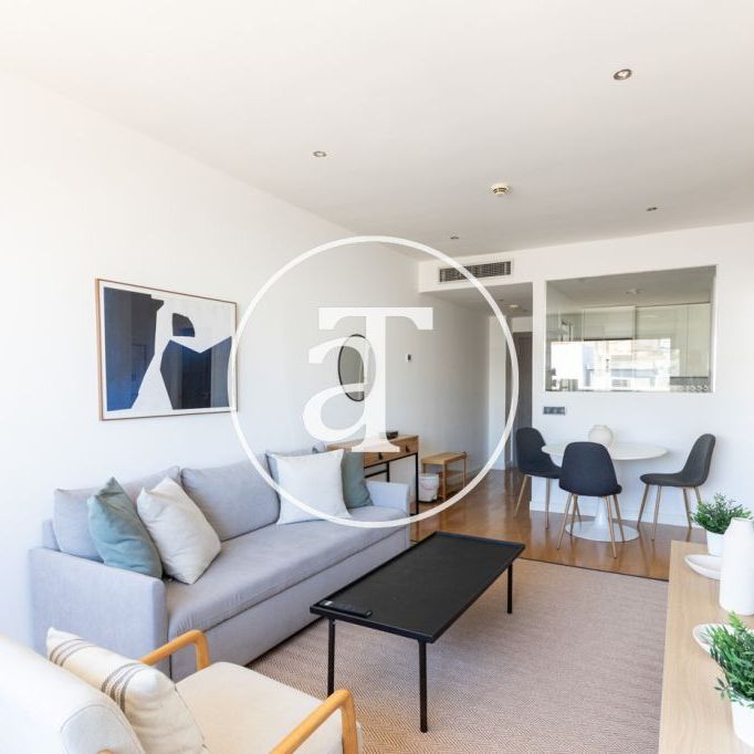 Monthly rental apartment with 1 bedroom, dressing room, and 1 bathroom in Salamanca - Foto 1