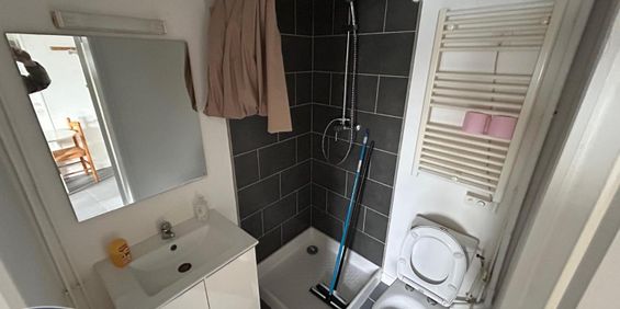 Location Appartement 1 pièce 14m² ST SAULVE 59880 - Photo 3