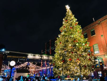 For Lease - 35 Parliament Street Unit# 1110, Toronto, Ontario - Photo 2