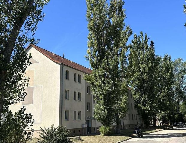 ++Frisch sanierte 3-Raumwohnung mit EBK++ - Photo 1