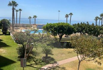 Algarrobo