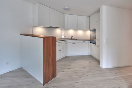 In the middle of the countryside including Pilatus view with evening sun! - Photo 2