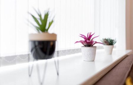 4 bedroom terraced house to rent - Photo 5