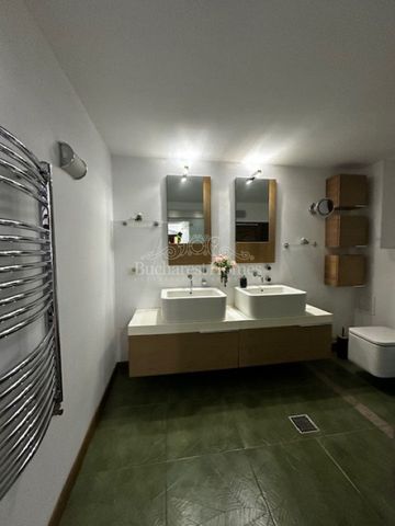 Heritage Home for Rent, Multi-Use 20 rooms, Downtown, Cismigiu area - Photo 2
