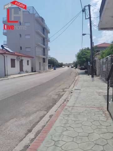 Μονοκατοικία για ενοικίαση Λυκοποριά (Ευρωστίνη) - Photo 5