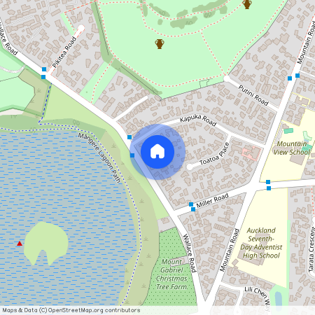 169C Wallace Road, Mangere Bridge, Auckland