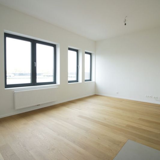 Live with the owner - 1 bedroom apartment - Photo 1