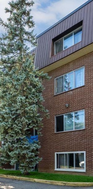 3 1/2 Boulevard Gouin app 408 - Photo 1