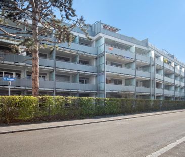 1-ZWG im EG, in 8048 Zürich zu vermieten - Foto 4