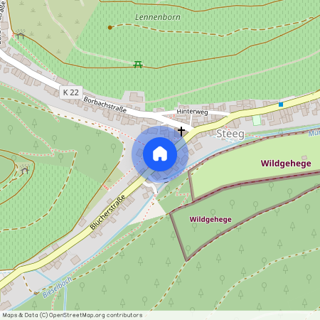 Blücherstraße 207, 55422 Rheinland-Pfalz - Bacharach