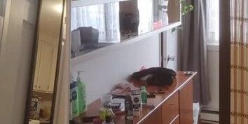 Loft Au Vieux-Québec 1 Rue Ferland #3 - Photo 3