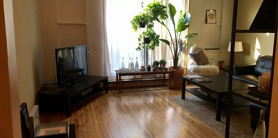 N.D.G. NDG, 3-1/2 Totalement Renove - Photo 3