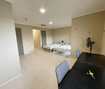 Clayton - Photo 2