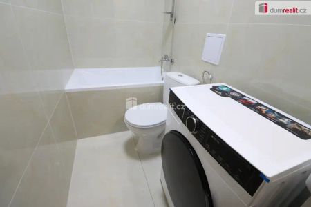 Dlouhodobý pronájem bytu 1+1 v Dalovicích - Photo 4