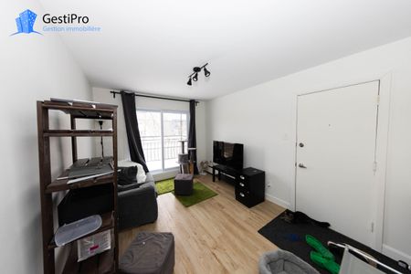 2465 rue Père-Lelièvre - Photo 3