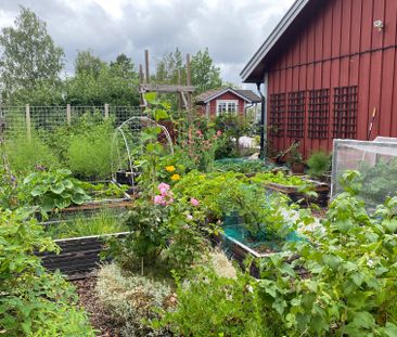 Charlottenberg, Sigtuna - Photo 6