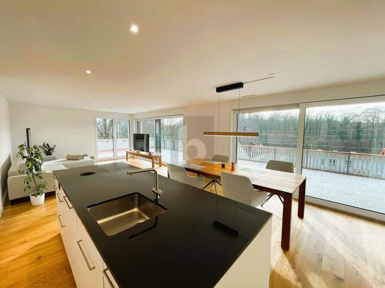 DREAMLIKE VIEW OF THE WILDEGG CASTLE - Photo 1