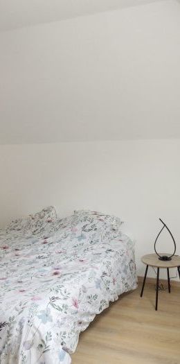 Appartement à louer, 2 pièces - Strasbourg 67100 - Photo 1