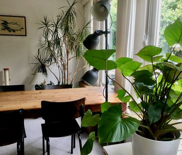 Kamer in sfeervol huis aan rustige grote tuin. Deurne Zuid. - Foto 6