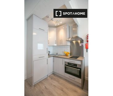 Serviced studio apartment for rent in St Stephen's Green, D2 - Photo 6