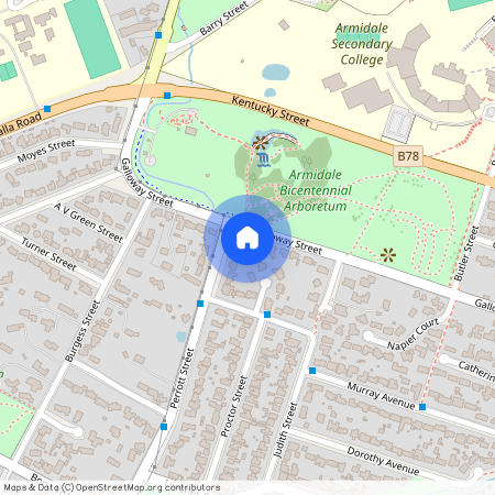 222 Galloway Street, NSW 2350, Armidale