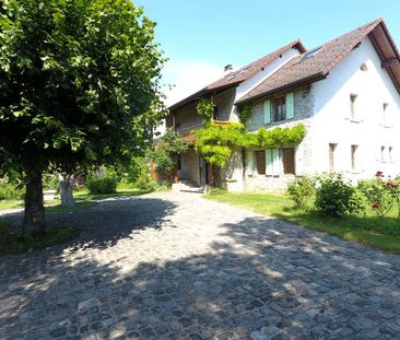 Farmhouse on 3000sqm of land - 15 minutes from Geneva - Foto 4