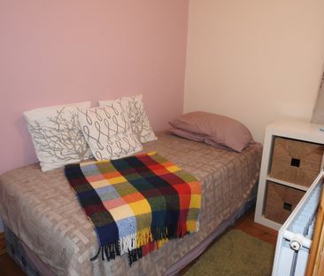 Haylings Road, Leiston, IP16 - Photo 6