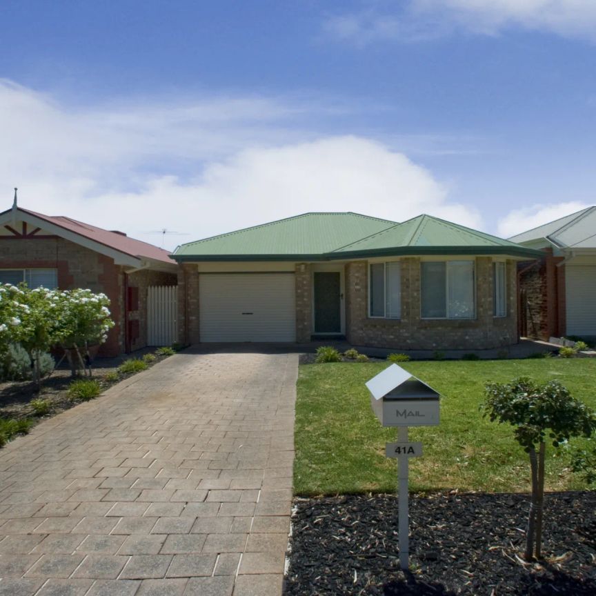 Professional & Straightforward - Photo 1