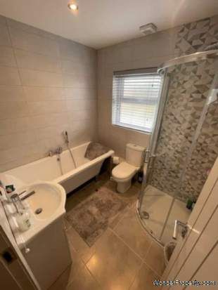 3 bedroom property to rent in Craigavon - Photo 3