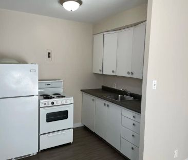 Wilson Apartment - 901 7th Avenue North — 2 Bedroom - Photo 4