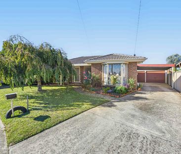 Neat, Low-Maintenance Living in a Quiet Sebastopol Court - Photo 2