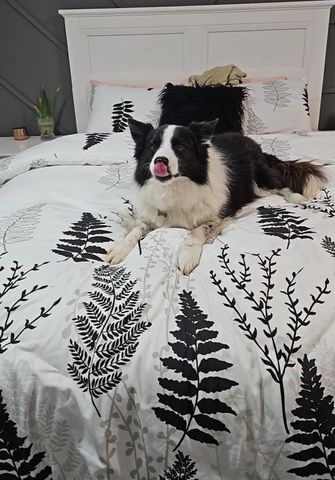 Bellbird Park - Photo 4