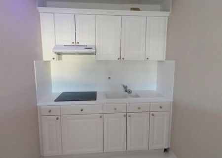 Appartement T2 à louer à Etrembieres - Photo 3