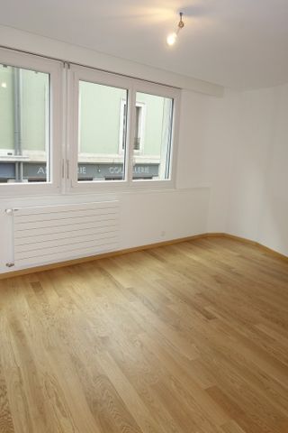 Plaine de Plainpalais - Foto 4