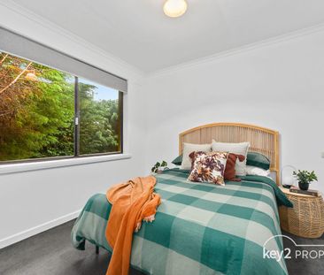 Sunny 3-Bedroom Home in Newnham - Photo 3