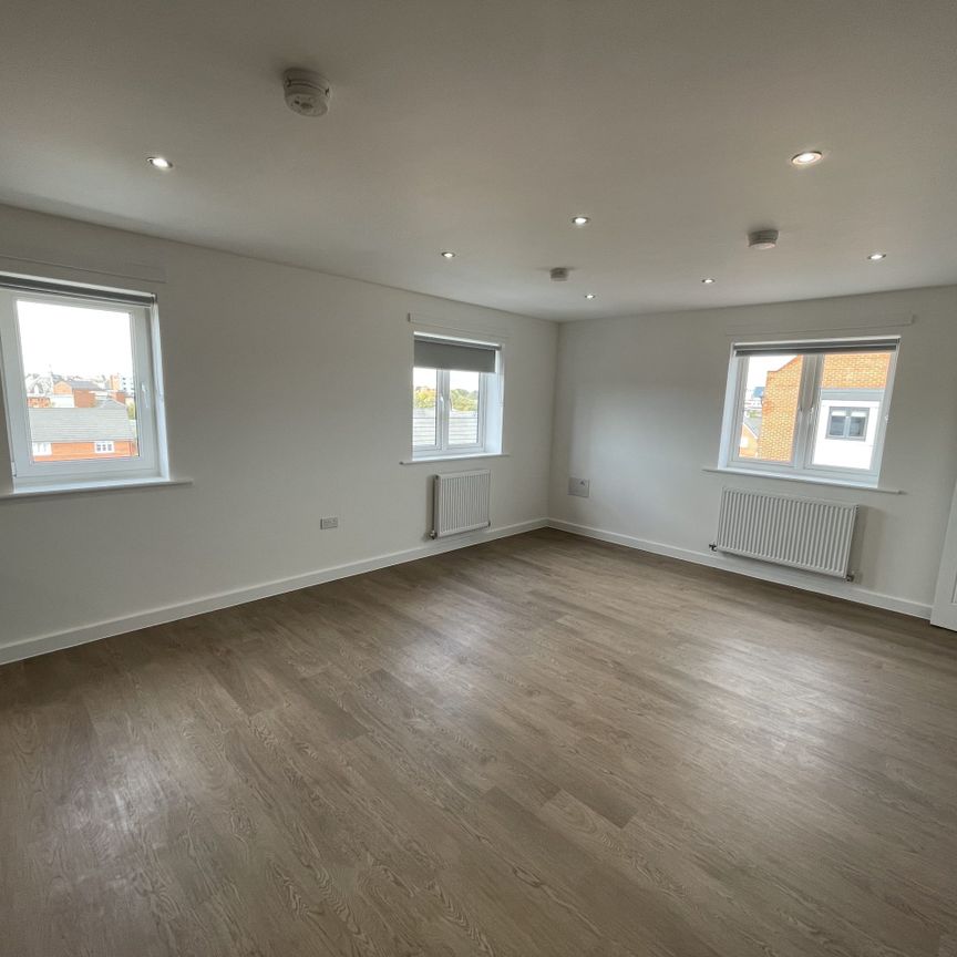 The Molina - Photo 1