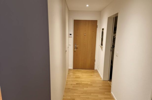 Nachmieter gesucht! Moderne 2.5-Zimmer-Wohnung mit Balkon in Emmen - Foto 1