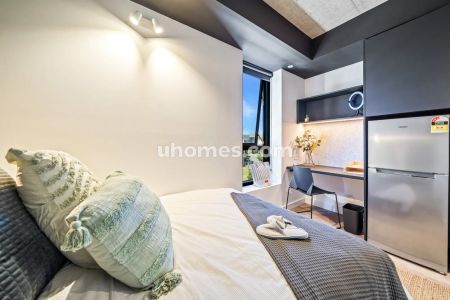 Panoramic Double Studio (33-38) - Photo 2