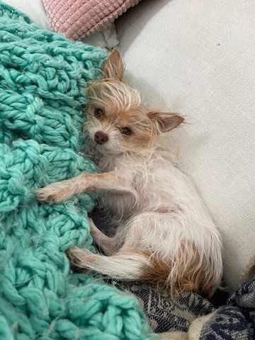 Picnic Point - Photo 2