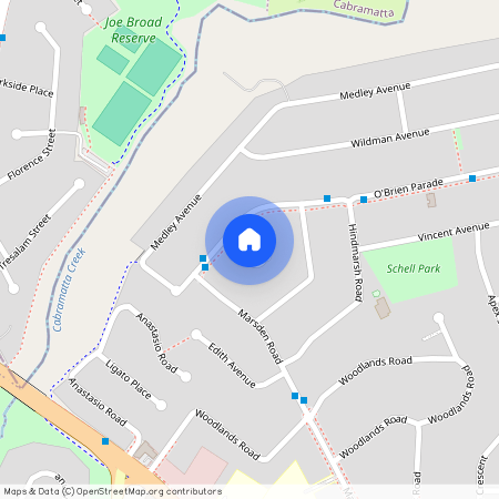 4 Bosley Avenue, NSW 2170, Liverpool