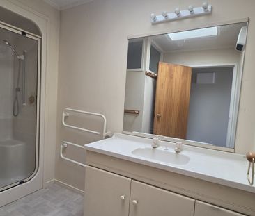 Your Sunny Sanctuary in the Heart of Town - Photo 5