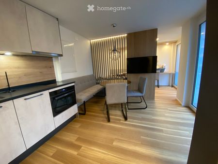 SERVICED PREMIUM APARTMENTS FREIENBACH & WOLLERAU - Photo 5