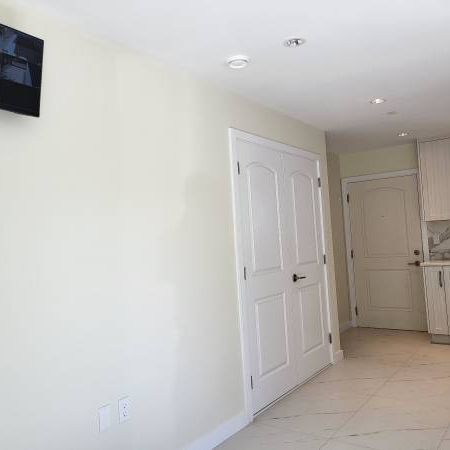 New 3 bedroom Lane Way House for Rent - Photo 3