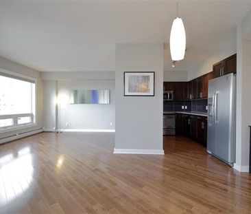 2 Br Condo For Rent In Downtown W/ Undgr. Parking & In Suite Laundry! - Photo 3
