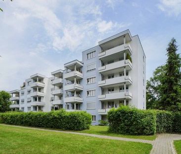 Recently renovated apartment - Photo 6