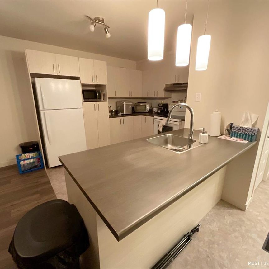 2 CH - 1 SDB - Lévis - $1,250 /mo - Photo 1