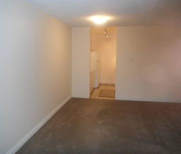 3 Bedroom/ 2 Bathroom Apartment Next to Seawall - Photo 3