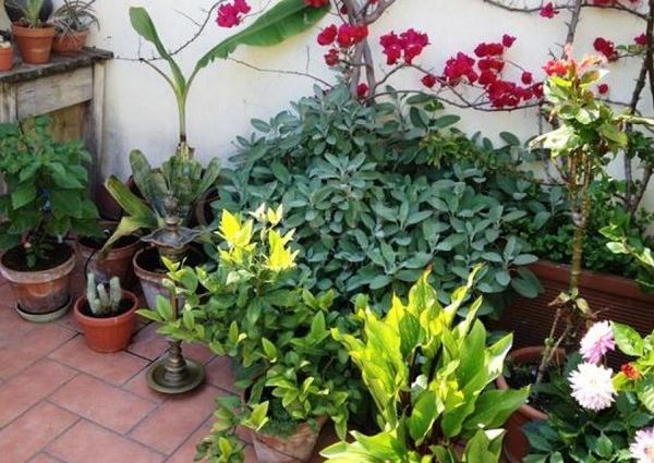 Attic-Piazza Navona: Short Stay. beautiful, fully furnished 1 Bedroom + Guest bed, 1 bath in period building with 2 large private terraces. Parquet floors, air conditioning, chef's kitchen, views, silent and bright. #2064