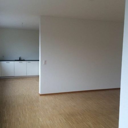 Baldeggerstrasse 30, Basel - Foto 3